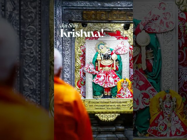 Jai Shri Krishna! Embracing the divine spirit of Janmashtami 🦚