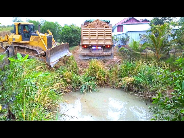 First Start Amazing PROJECT!! Filling Land Delete Deep Fish Pond Use Strong Bulldozer & 5Ton Truck.