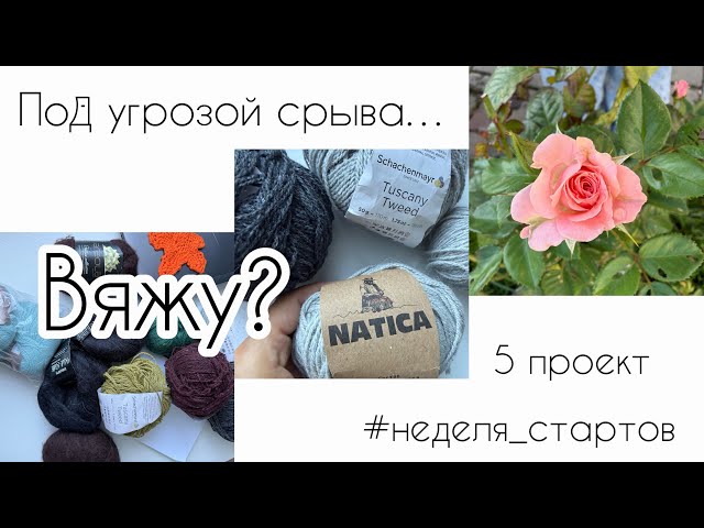 Unexpected Project 🧶 / What to knit? / Final project of start-up week