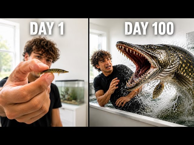 I Raised A Northern Pike (100 Day Evolution)