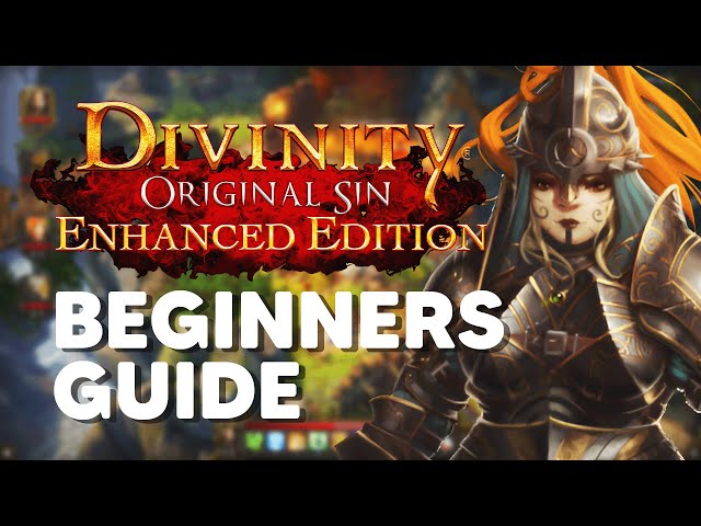 Divinity Original Sin Enhanced Edition | Beginner's Guide - Tips and Tricks