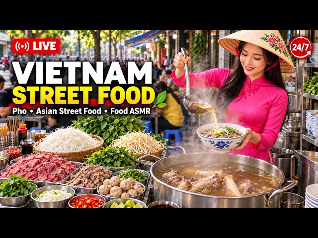 🔴 LIVE Vietnam Street Food 🇻🇳 | Pho, Bun Cha, Banh My... Asian Street Food, Live Cooking & Food ASMR