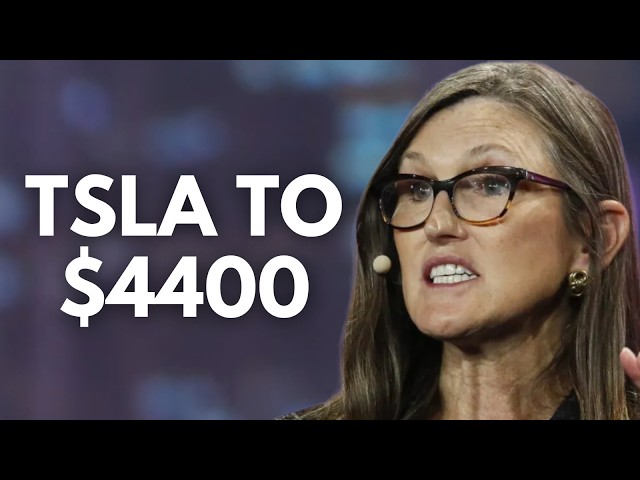 Ark Invest Reacts To Tesla Earnings / Ross Gerber Reacts / All Investor Reactions