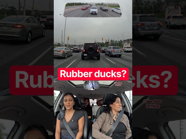 Why do JEEPS have ducks in Canada? 🇨🇦 🦆 #jeep #rubber #duck #canada #toronto #pov #car #driving