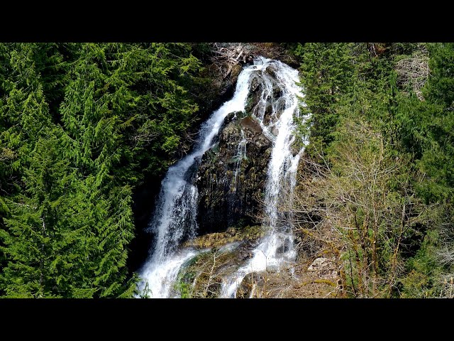 ULTIMATE RELAXATION 🛀 30 Minute Waterfall Soundscape — No Loops