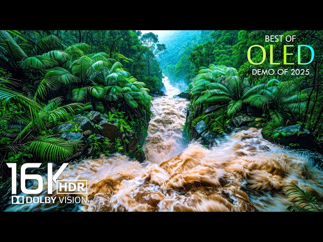 Only Best 16K HDR 120 fps Dolby Vision (16K Video ULTRA HD)