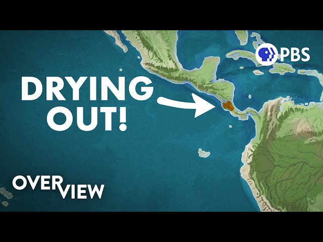 How This Dying Rainforest Is a Sign of Things to Come
