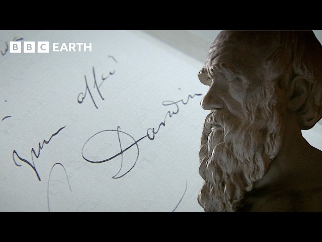 Darwin’s Rejection of Creationism | BBC Earth Science