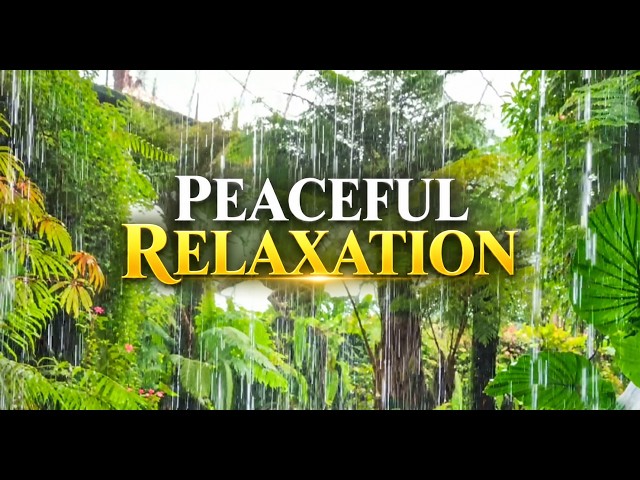 Tropical Rain Sounds for Peaceful Relaxation