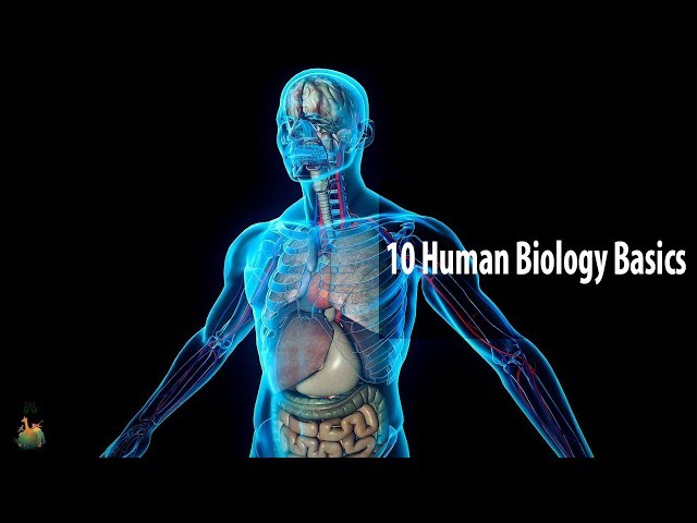 10 Human Biology Basics Everyone Should Know