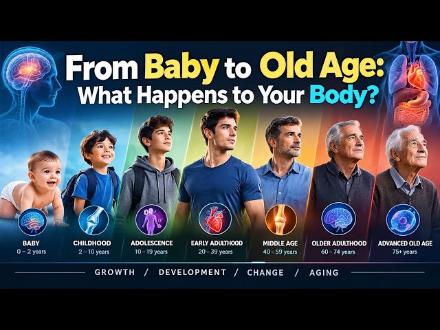 From Baby to Old Age: What Happens to Your Body? | Human Body Changes Explained | 