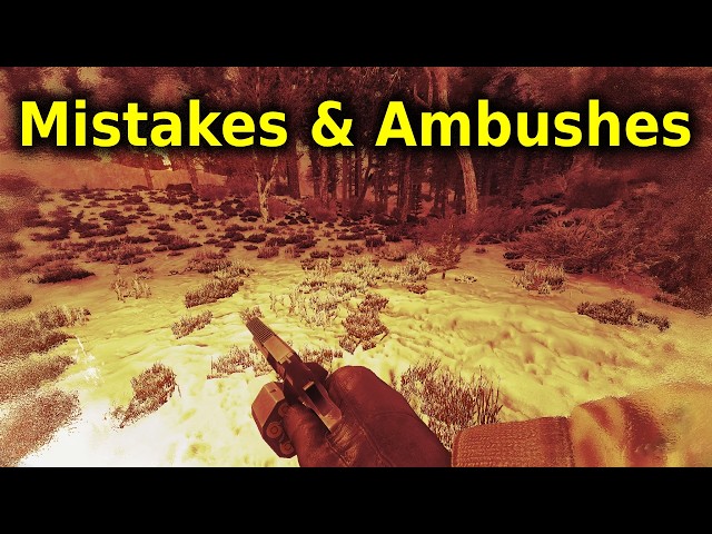 CHAOTIC RED FOREST | Stalker Grim Raid