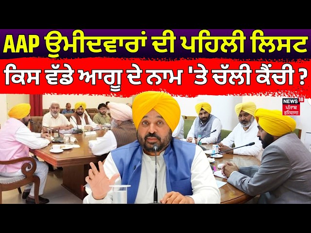 AAP ਉਮੀਦਵਾਰਾਂ ਦੀ ਪਹਿਲੀ ਲਿਸਟ, ਕਿਸ ਵੱਡੇ ਆਗੂ ਦੇ ਨਾਮ 'ਤੇ ਚੱਲੀ ਕੈਂਚੀ ? AAP Candidate List | CM Mann |N18V