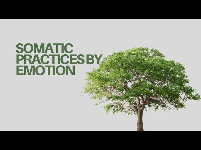 Feeling Overwhelmed? Try These Somatic Tools for Emotional Release Ep 7