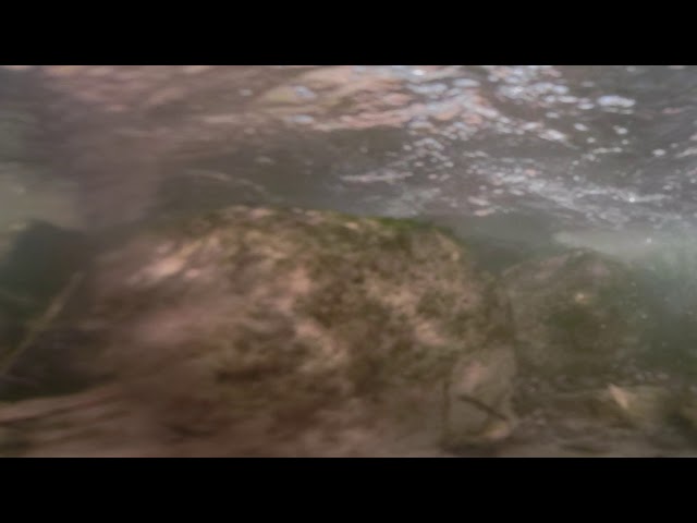 UnderCreek