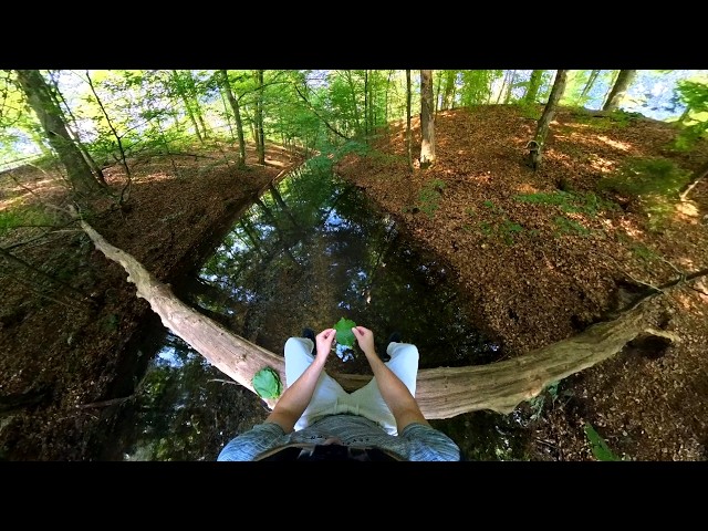 Exposure Therapy 360°: Leaves on a Stream | ACT Mindfulness Exercise
