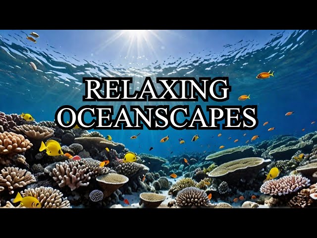 The Coral Reef   Hours of Relaxing Oceanscapes   BBC Earth