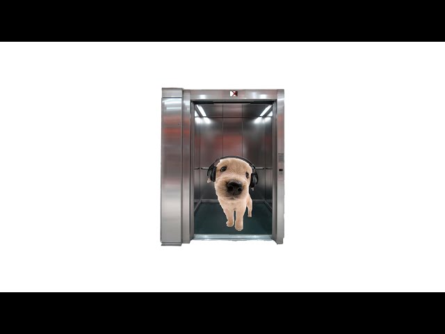 fun and chill elevator videogame music ♡