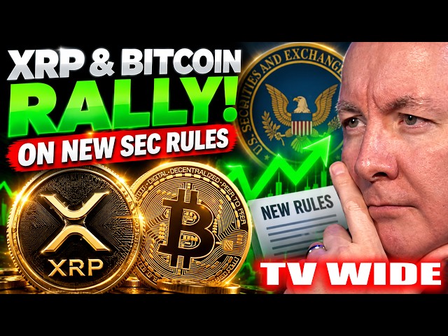 XRP & Bitcoin RALLY as SEC Unleashes New Crypto Rules! Martyn Lucas Investor
