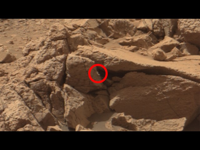 Som ET - 78 - Mars - Curiosity Sol 4815 - 2