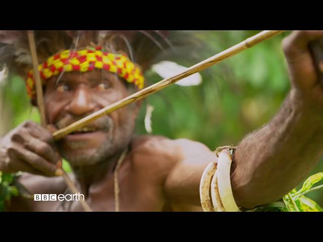 Tribes, Animals & Me BBC Earth
