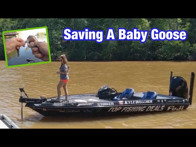 Saving Wildlife | Tournament Prep W/ Hunter