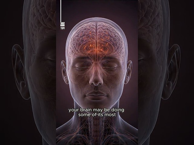 How Sleep Cleans Your Brain