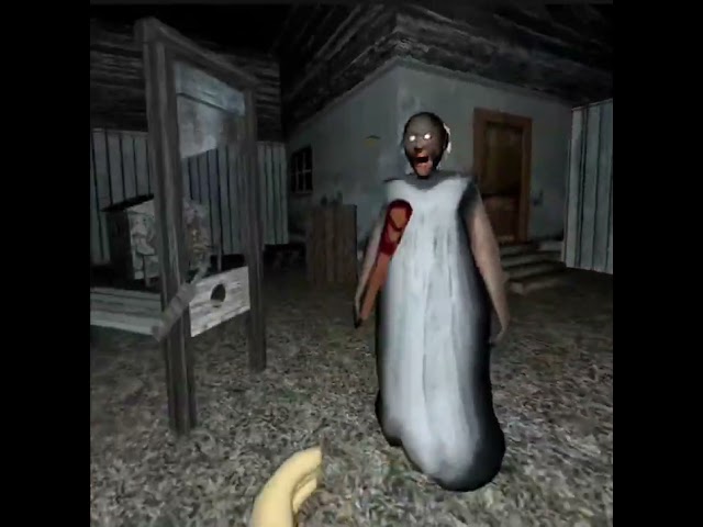 Entertaining Granny VR video
