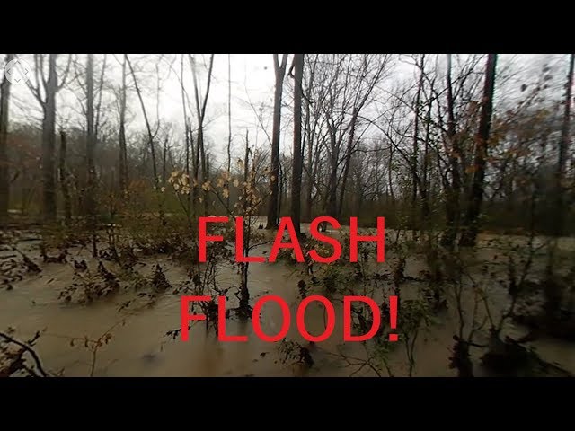 Flooded Woods - 360° Video of Flash Flood