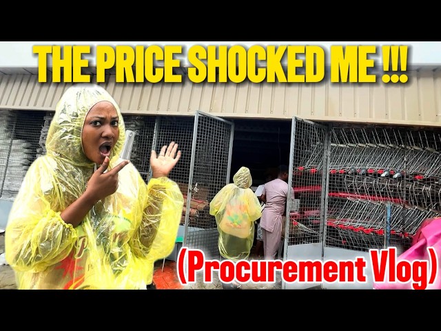 I Was Hired to Set Up a Supermarket… Here’s What Really Happened!