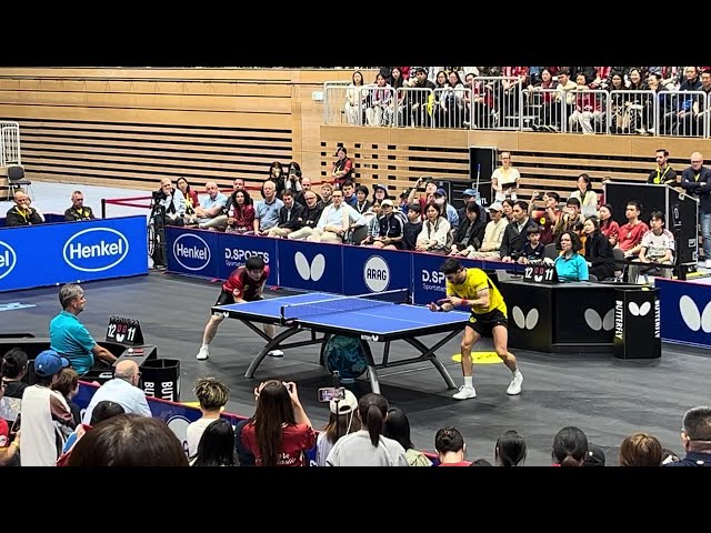 FAN ZHENDONG vs Joao Geraldo German Table Tennis  League - great performance from the champion