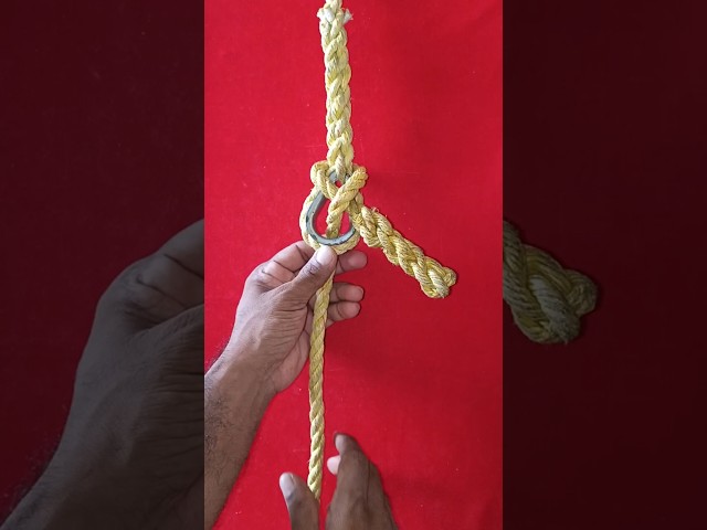 sheet bend knot tutorial  👀👍 #knottutorial #knot #gtknot #rope