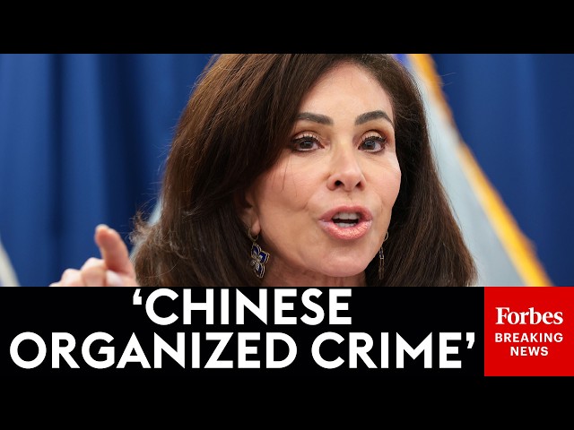 BREAKING NEWS: Jeanine Pirro Announces Major Crackdown On Chinese-Run Illicit Scam Marketplace