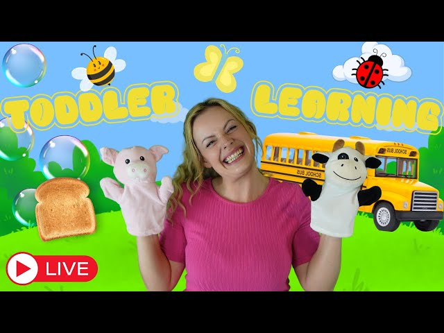 24/7 Toddler & Baby Learning Livestream - Kids Songs & Nursery Rhymes - Miss Katie