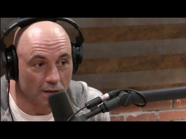Joe Rogan on MMA Striking vs  Boxing