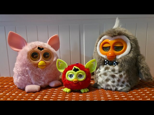 Phoebe, Phoebe New Series & Hibou Furby Fake Conversation