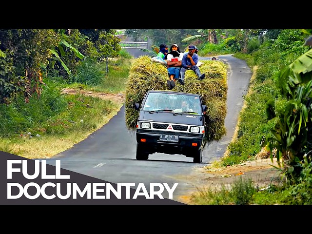 Earth Untold: Java | Hidden Tales from the World's Most Crowded Island | Free Documentary