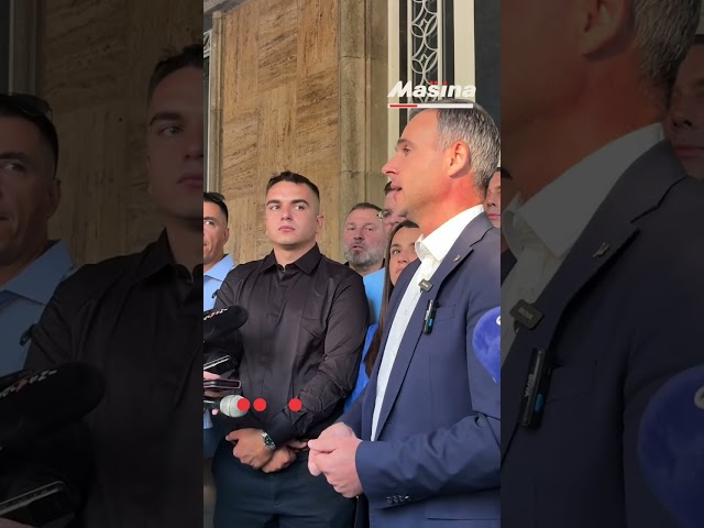 avez Narodna Srbija se povlači iz izborne trke