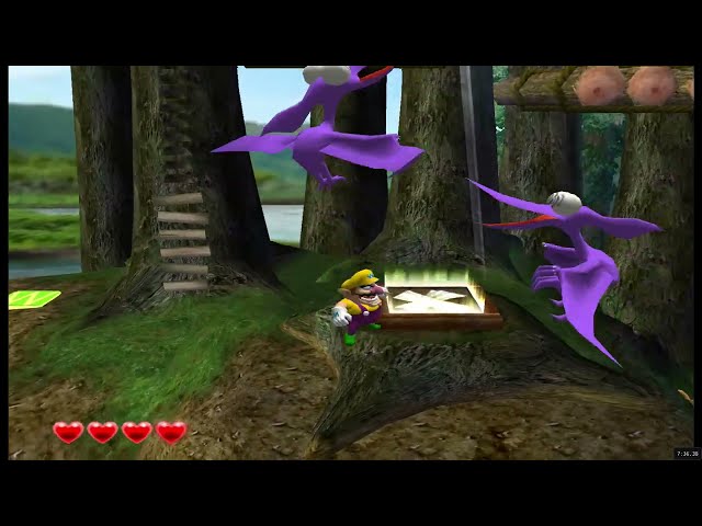 Wario World (GameCube) - Dolphin Emulator