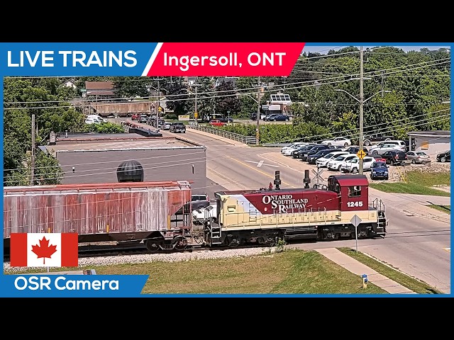 🔴 LIVE Trains Railcam | Ingersoll, Ontario (OSR CAM)