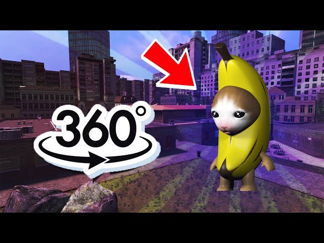 Banana Cat Finding Challenge But it's 360 degree video
