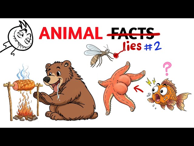 Animal Lies And Myths That You Actually Believe - Part 2