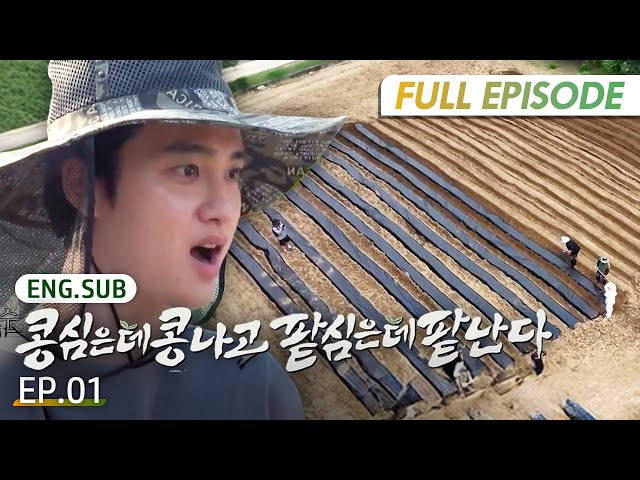 [Full/K-Content] GreenBeanRedBean EP.1 | #Engsub #Kvariety #BiggerOnTV