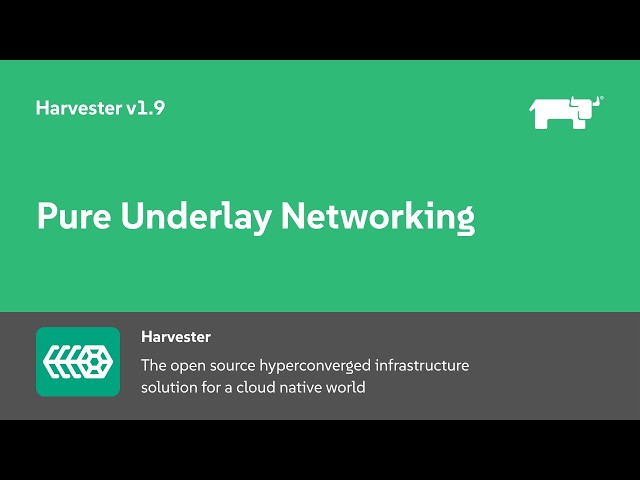 Pure Underlay Networking