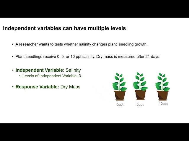 LA Tech Ecology Lab - Lab One Recorded Lecture Video