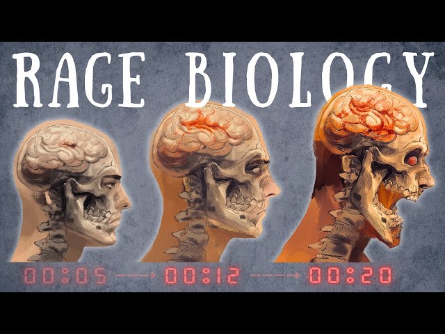 How the Rage Virus Rewires the Brain—Second by Second | 28 Days Later Biology