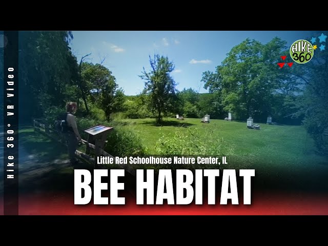 Little Red Schoolhouse Nature Center, IL - Bee Habitat (Hike 360° VR Video)