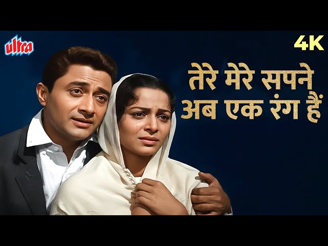 Tere Mere Sapne Ab Ek Rang Hain | Guide (1965) | Mohd. Rafi | Dev Anand, Waheeda Rehman | हिंदी गाने
