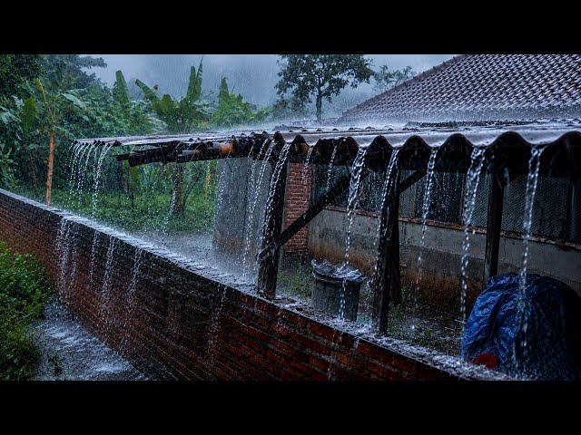 FALL ASLEEP IN MINUTES | HEAVY RAIN & THUNDER ON TIN ROOF
