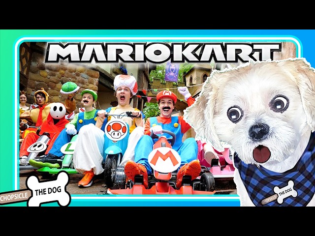 Mario Kart in Real Life! Shiloh and Bros. (Reaction) Chopsicle The Dog :)